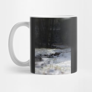 snowy Oregon forest, fox creek 9 Mug